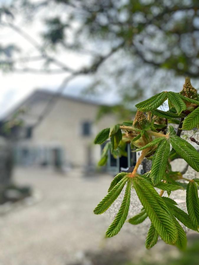 Figtrees Bed & Breakfast Margueron Bagian luar foto